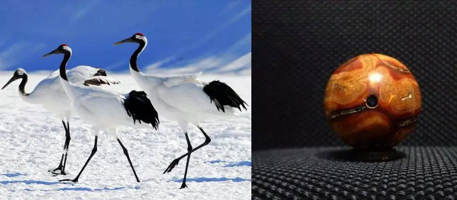 一辈子都不能碰的七种文玩,这10种文玩都是违禁品最好别碰