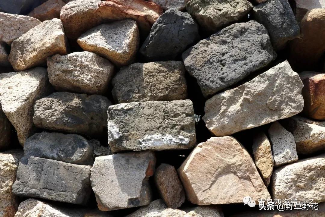 青岛西海岸新区灵山岛简介,青岛西海岸新区历史文化名城