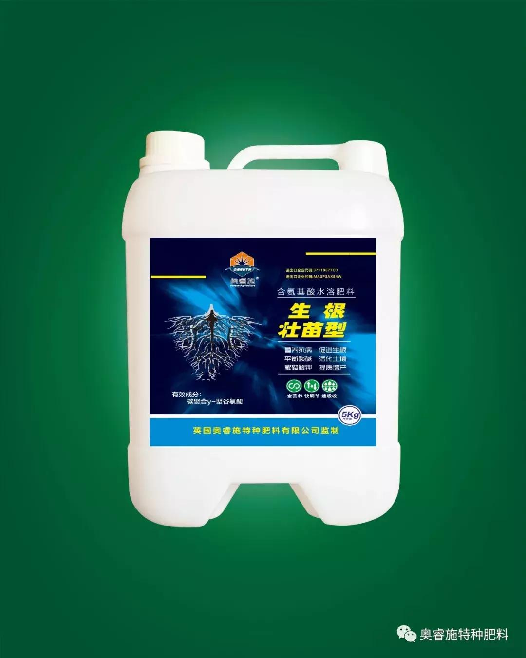 草莓大田移栽株距是多少,草莓大田育苗新技术视频