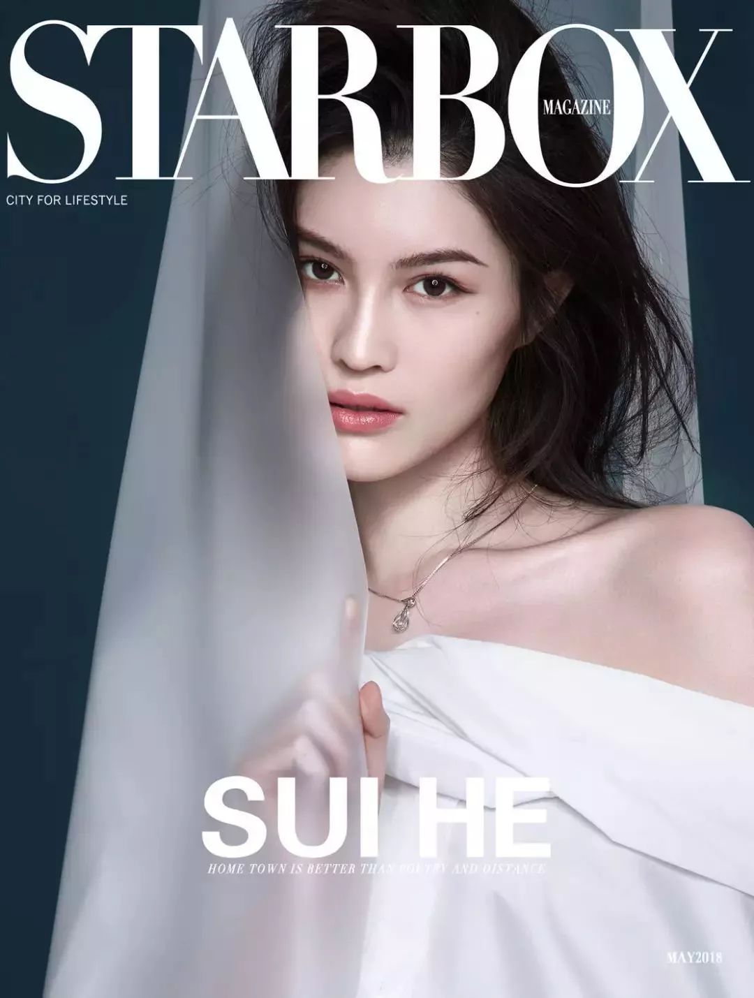 刘雯2020全球超模收入榜排第几,2018年最赚钱模特刘雯