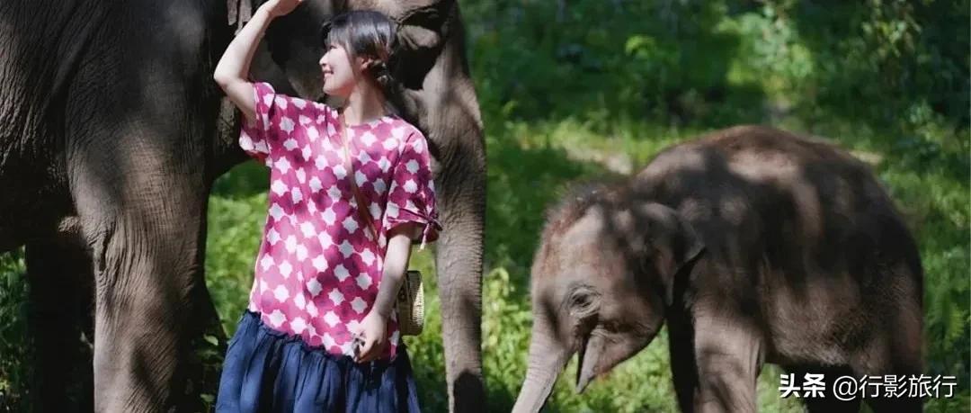 云南西双版纳地方介绍,云南西双版纳旅游简介