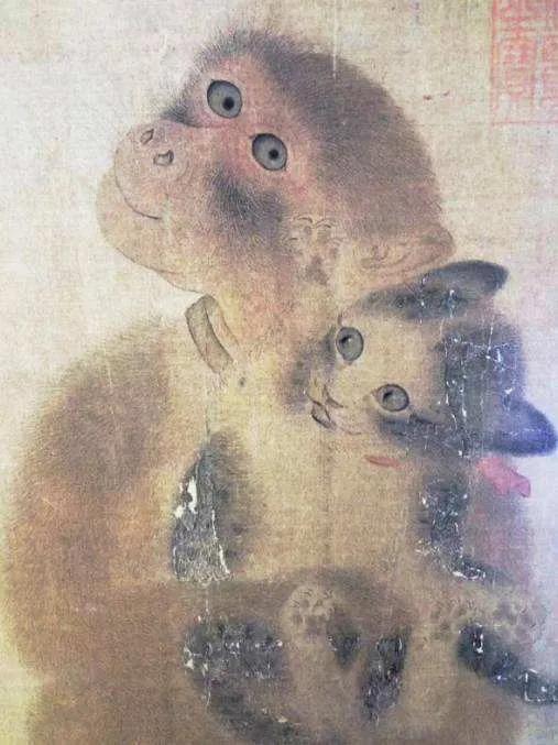 20元土猫,土猫能卖多少钱一只