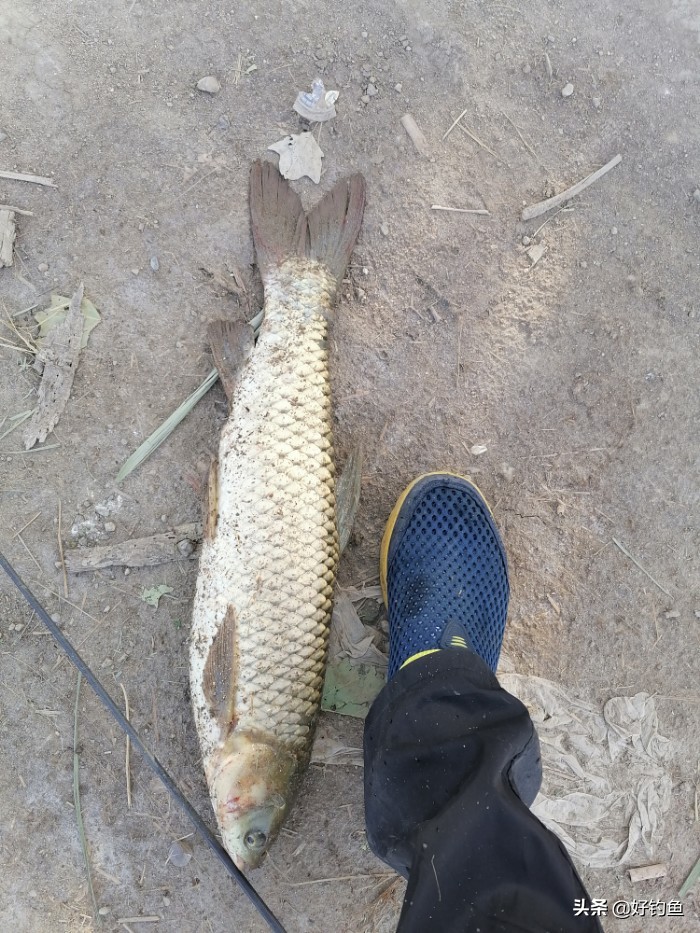 阿克苏毕业季,再见新疆阿克苏原版