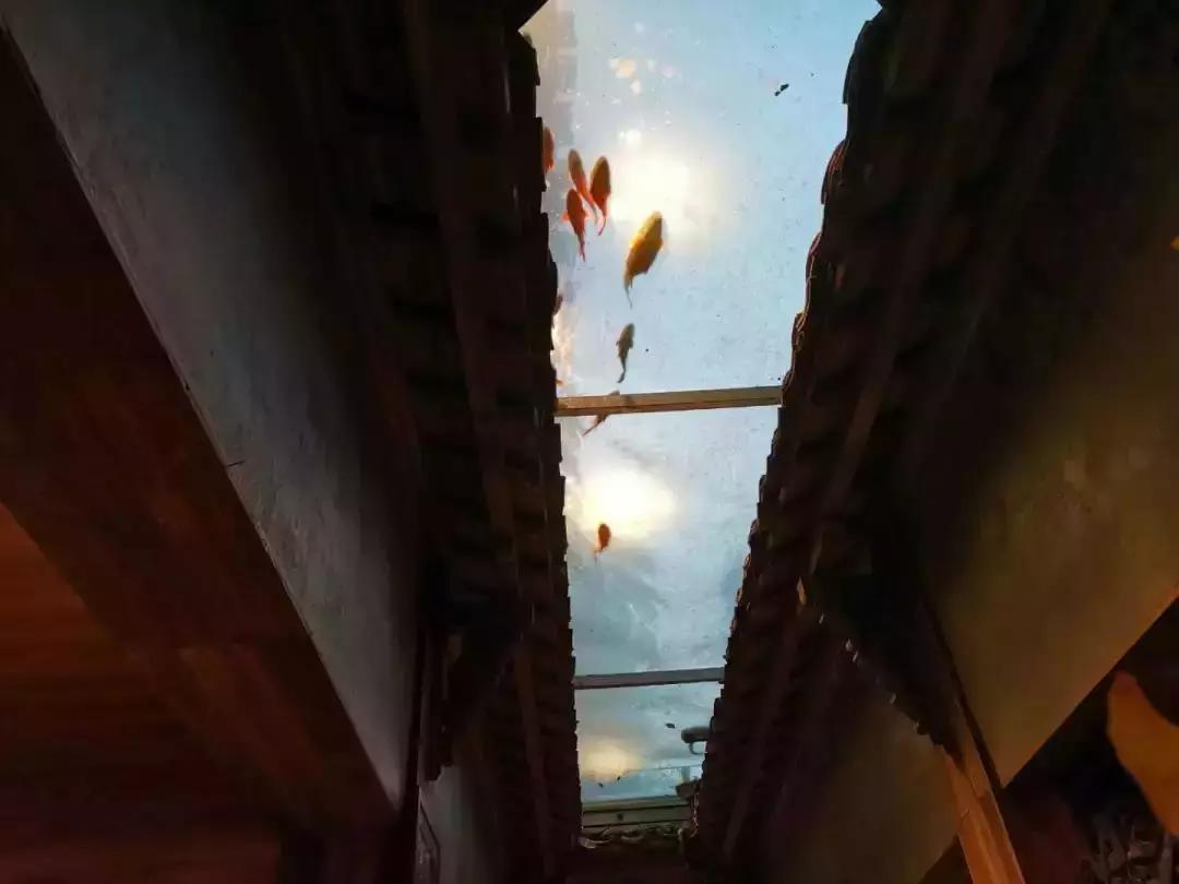 这些绝美的院子最适合夏天带娃小住