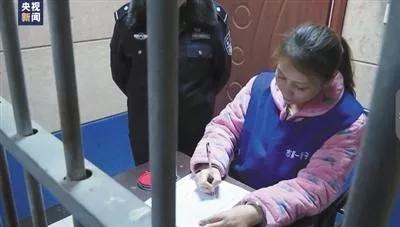 2017十大刑案点评,中国刑案解读