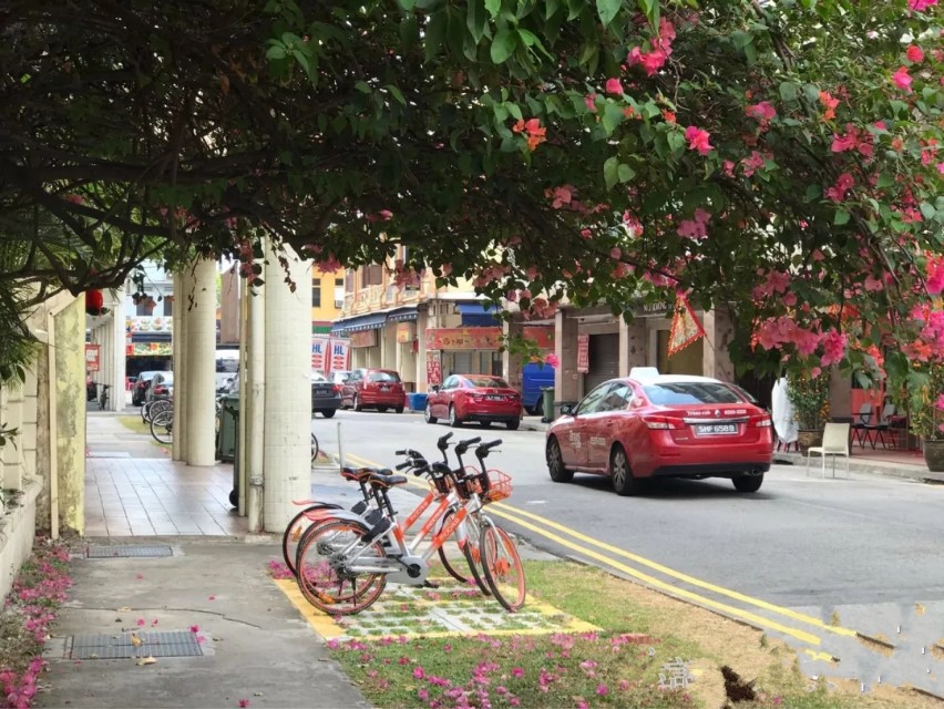 我与几个姐妹顺利的被评为优质，得到了单位出国旅游的资格...