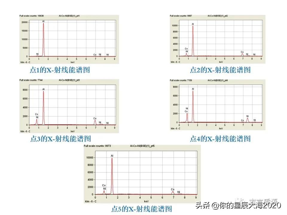 非常详细的扫描电镜（SEM）图像分析，建议收藏