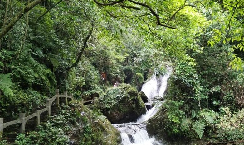 广西旅游景区向全国医护人员免费,疫情医护人员景区免费