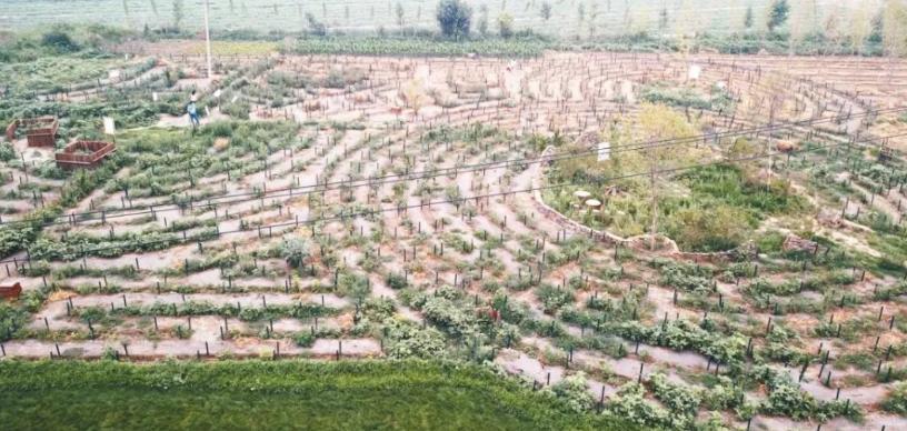 轻资产小农场,40平方小农场