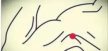 肝血和气不够拍打哪里,如果肝不好要调理哪个器官