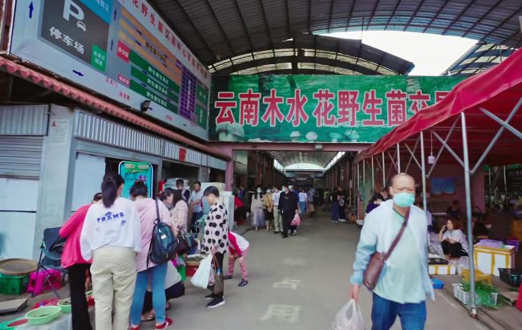 野生菌的毒是什么毒,野生菌属于毒品吗