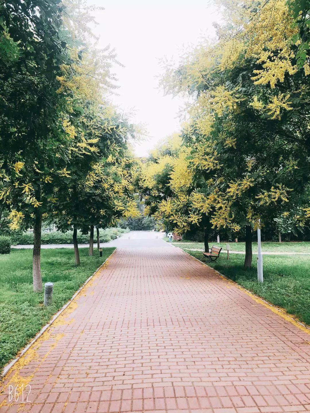 辽宁省普通高等院校（二十五）沈阳工程学院
