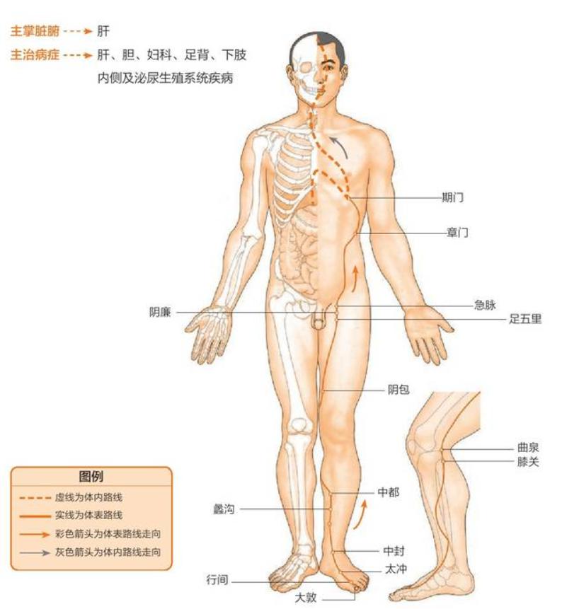 气出来的子宫肌瘤,气出来的乳腺结节会消吗