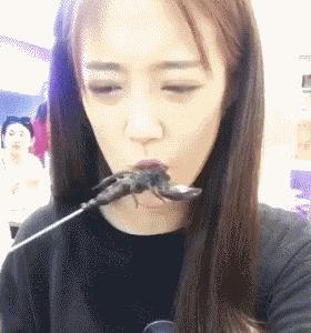 妈给我介绍对象,我妈天天给我介绍对象