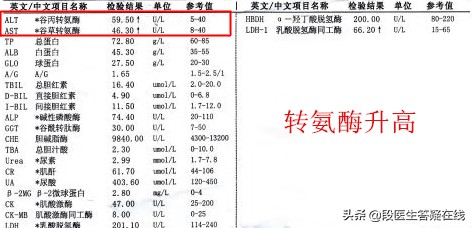转氨酶升高是怎么回事？需要用保肝药吗？
