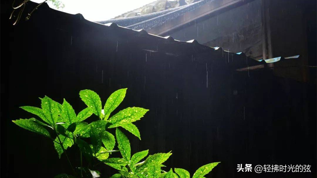 八句诗词道尽人生,六首古诗词道尽古人闲情