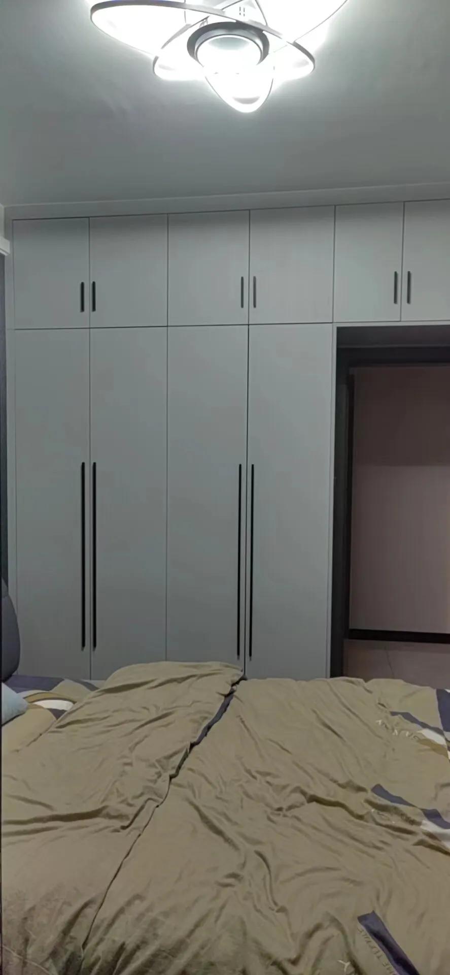 成都定制柜子鲁丽欧松板配PET肤感和高光门安装完工！640元/平方