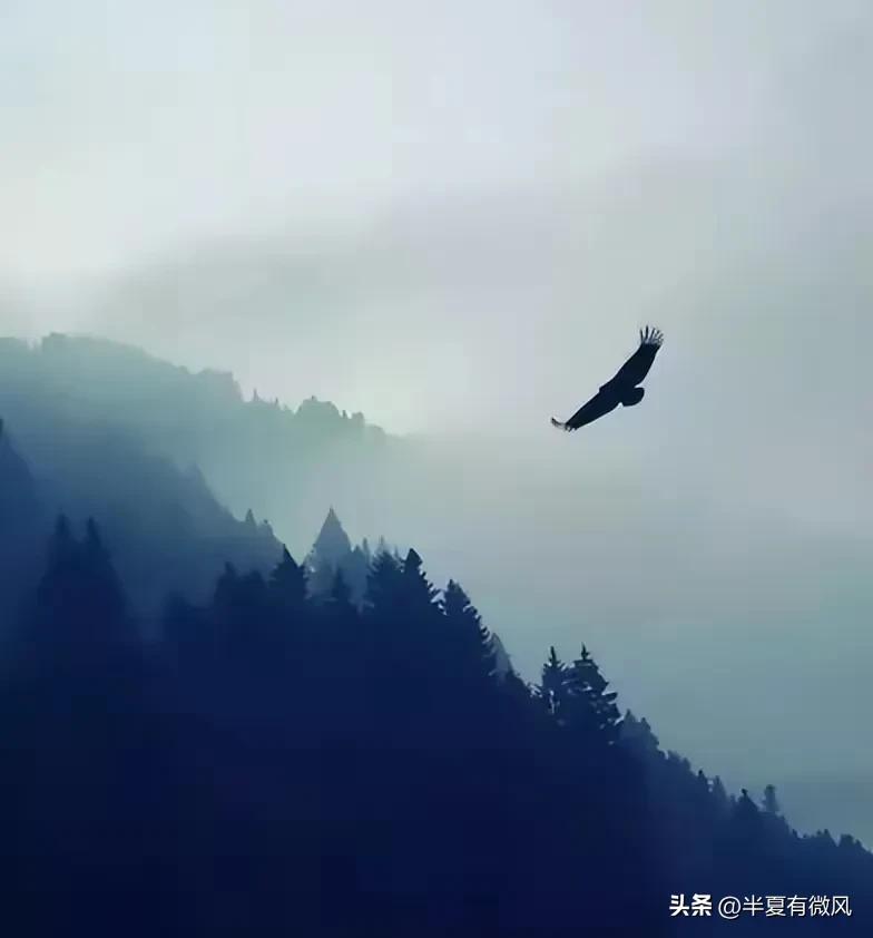 男子多次强奸兄弟女儿致其怀孕，案发后想用钱赔偿兄弟以脱罪